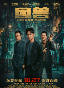 杜比视界