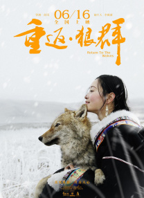 手机在线观看